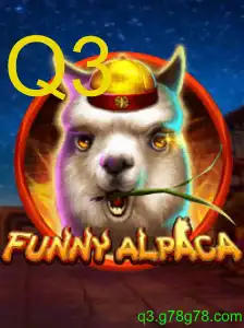 FunnyAlpaca